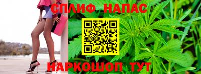 прущие грибы Тверь