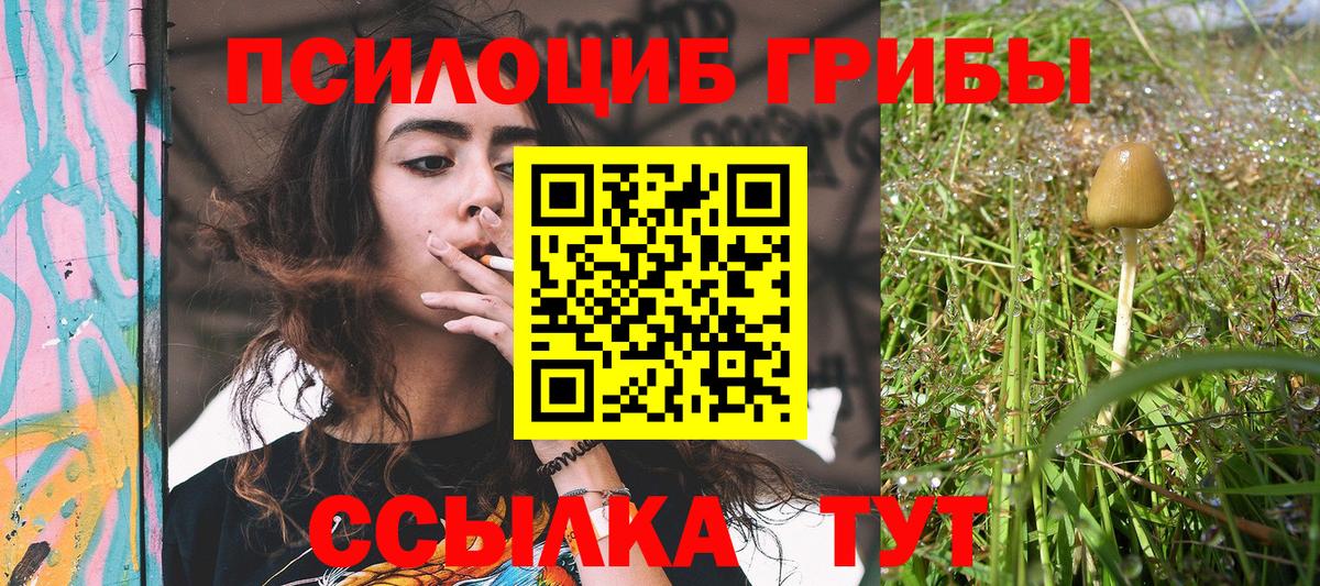 Псилоцибиновые грибы Magic Shrooms Наро-Фоминск