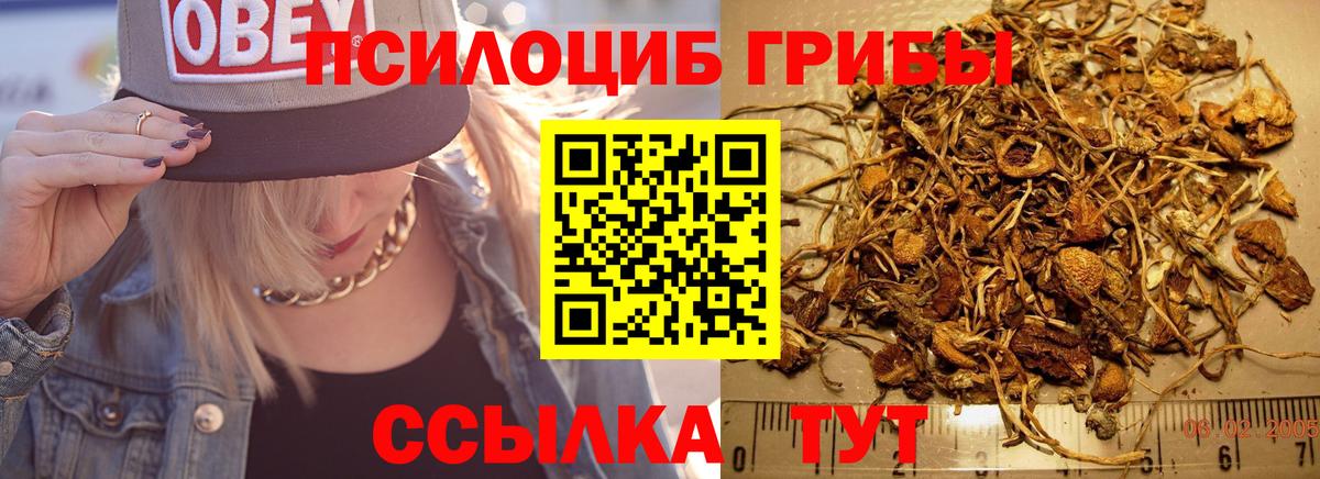 Наро-Фоминск  Псилоцибиновые грибы Magic Shrooms  как найти закладки  Псилоцибиновые грибы Cubensis  Вход с VPN 